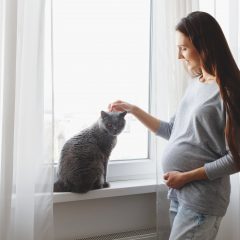 Juniti, tutora do Brad