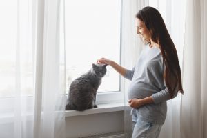 10 mitos no cuidado com pets